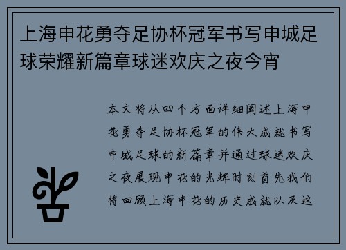 上海申花勇夺足协杯冠军书写申城足球荣耀新篇章球迷欢庆之夜今宵